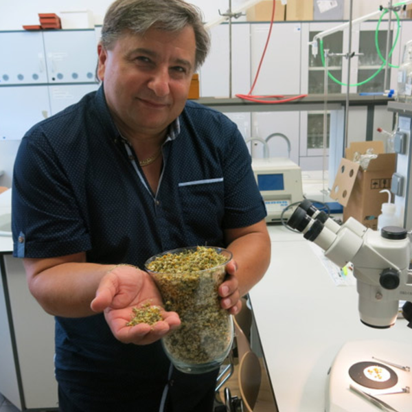 prof. RNDr. Ivan Šalamon